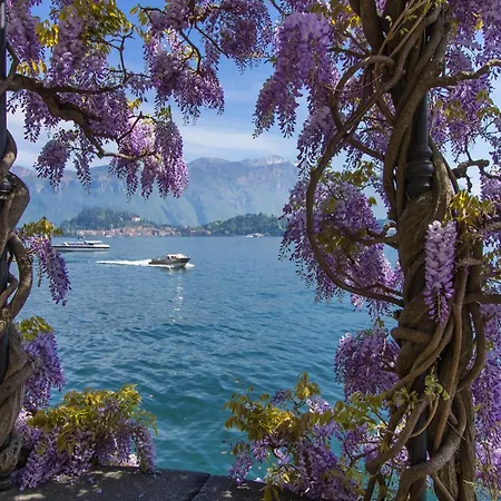 شقة Casa Tulipano Grande Faggeto Lario